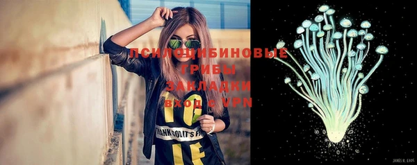 стаф Бугульма