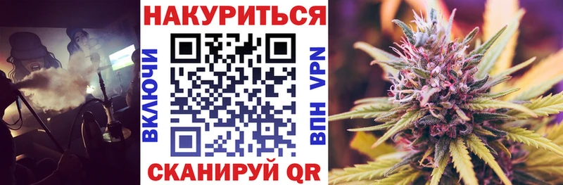 Бошки марихуана план  наркотики  Бородино 